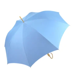 Blue Royalty: Light Blue Umbrella with Elegant Gold Handle