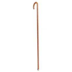 Crook Walking Cane incrostata da cristalli Siam