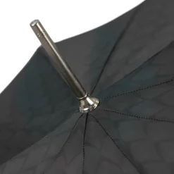 Dragon’s Fury: Black Umbrella with Fierce Dragon Handle