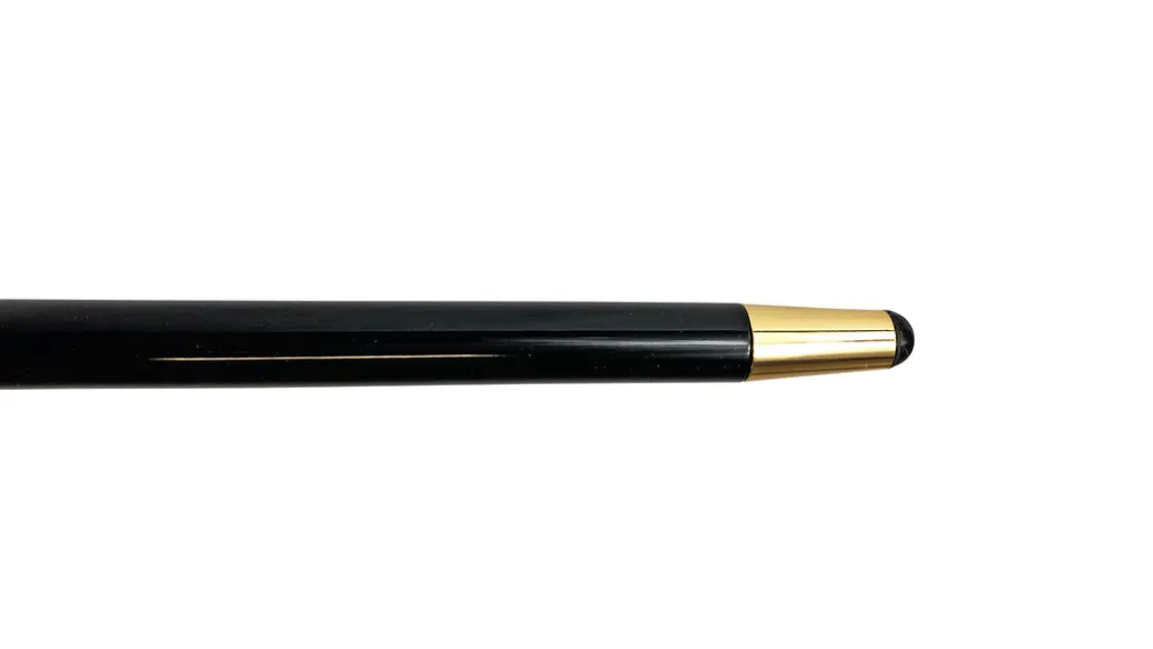 Elegant Cane with Sculpted Black Skull Handle and Gold Accents