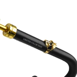Elegant Umbrella with Leather Handle, Gold Skull, and Ornate Black and