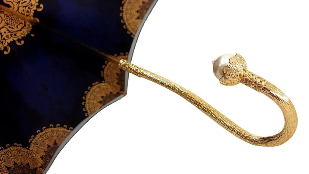 Ombrello alla moda finito in un lussuoso Raso blu