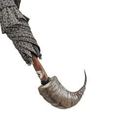 Ombrello con il corno di Ram