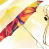 Ombrello di lusso con manico "sciabola" disegno Esclusivo il Marchesat