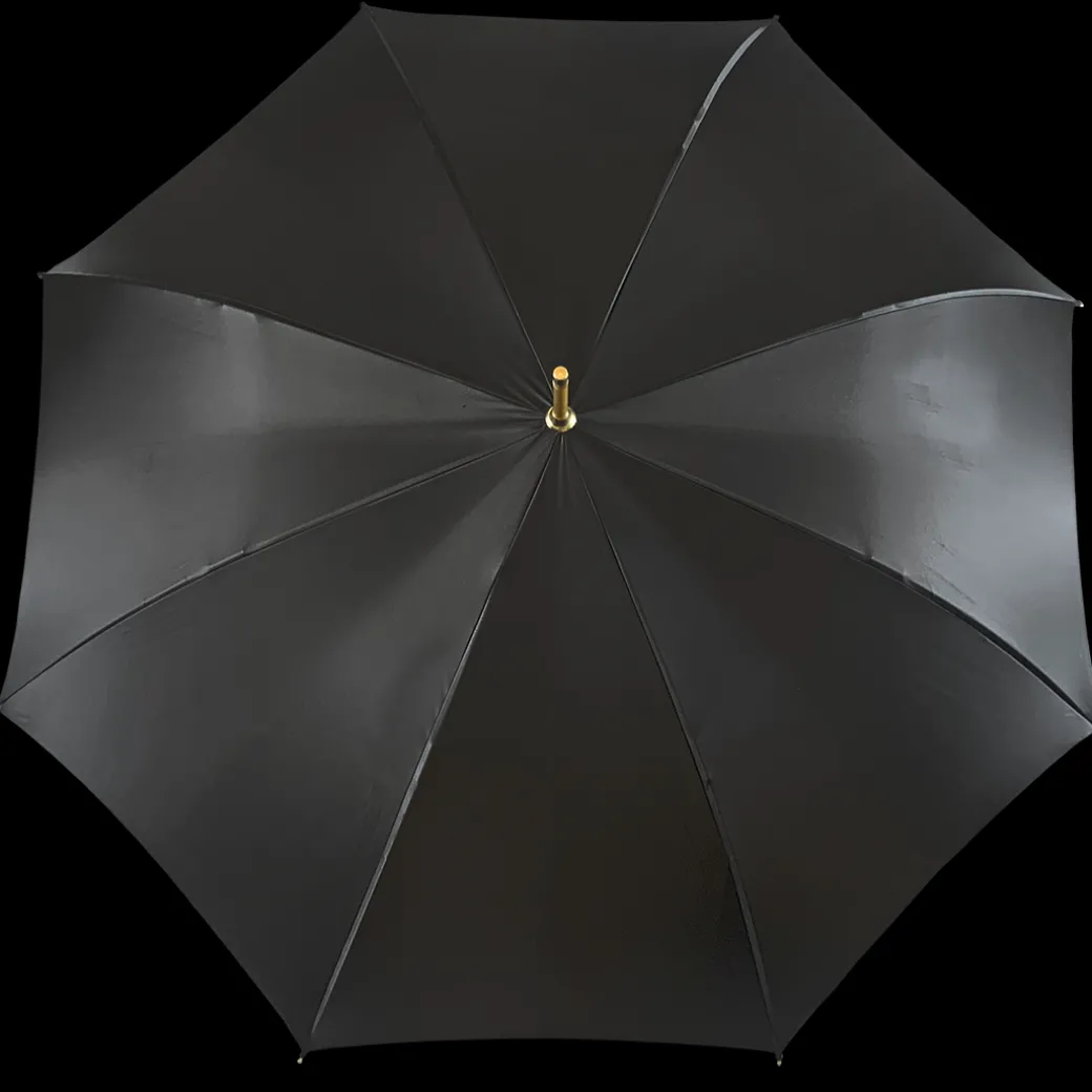 Ombrello nero Semplice ed elegante con design animalier