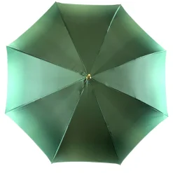 Ombrello verde con fantasia rose