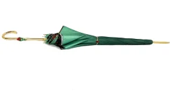 Ombrello verde con fantasia rose
